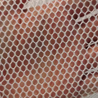 Lưới nylon đan xen tùy chỉnh 
            Lưới nylon mềm Lưới mềm Lưới chống muỗi Vải Lưới đánh cá Vải Lỗ tròn Lưới lục giác Lưới Koi Lưới luoi bao che cong trinh luoi bao che cong trinh